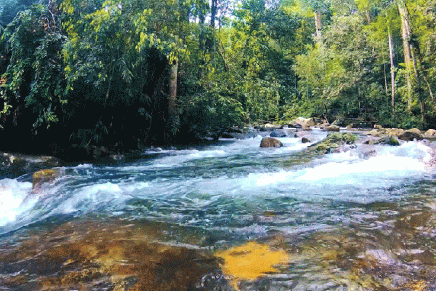 River Cruise Tour on the Seine